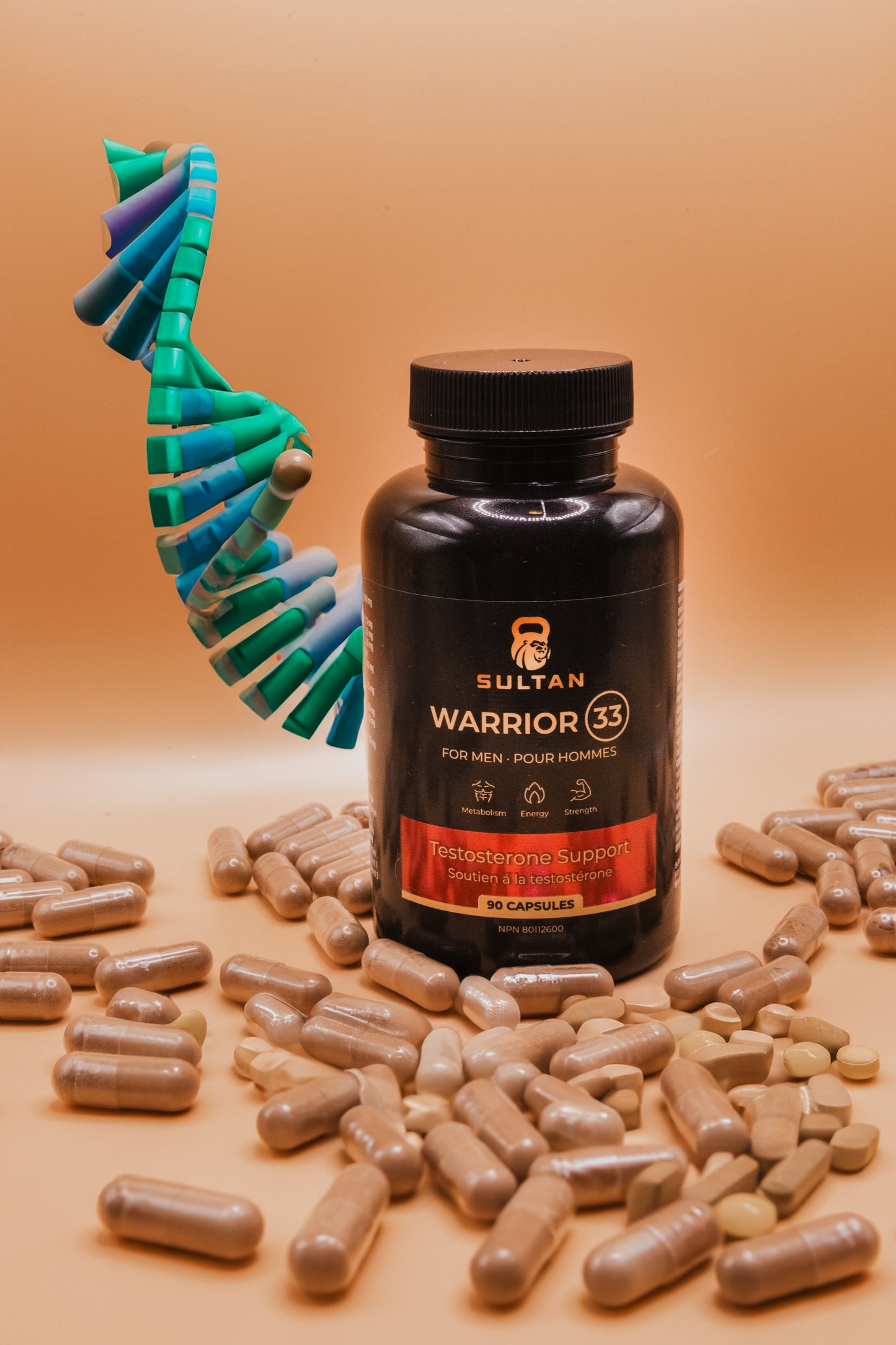 Warrior 33
