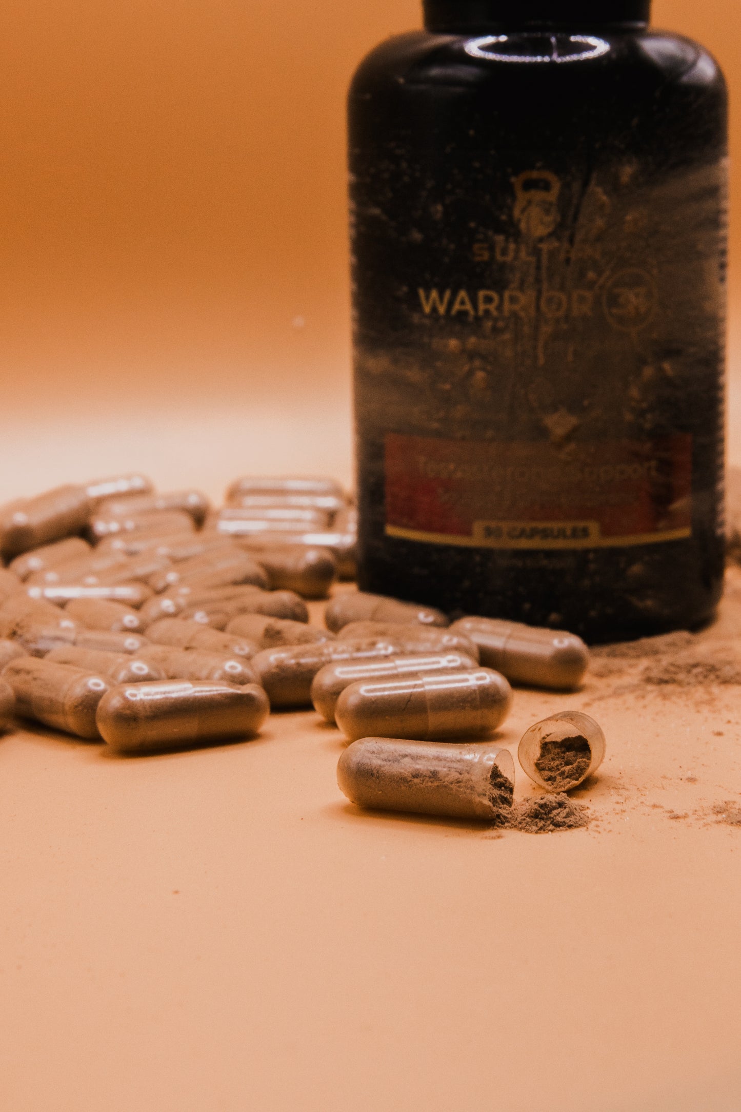 Warrior 33